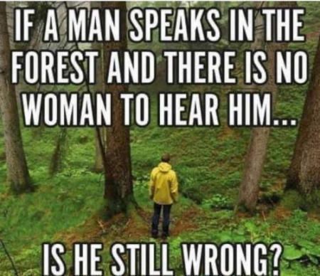 IF ATMAN SPEAKSINTHE FOREST AND THERE IS NO WOMAN TOHEAR HIM X o IS HESTIILWRONG 2