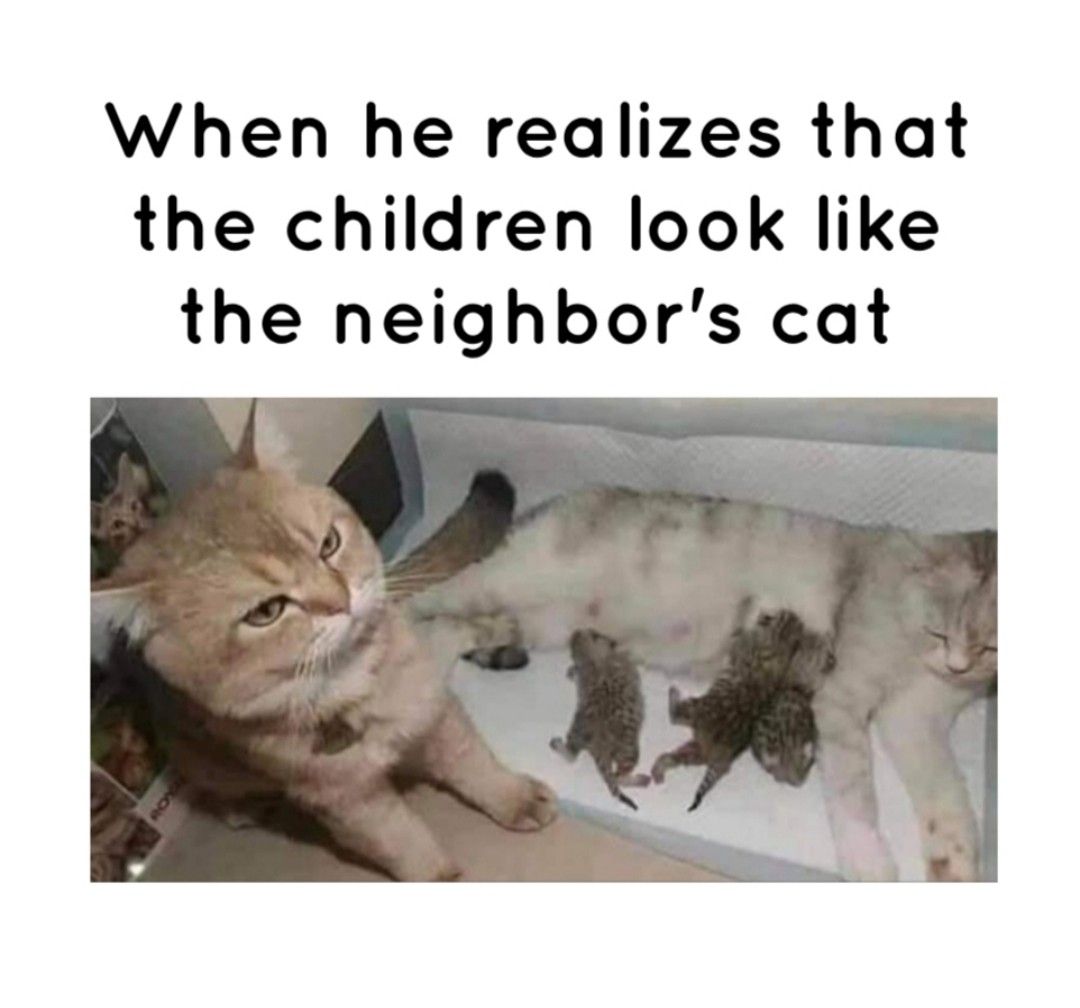 When he realizes that the children look like the neighbors cat