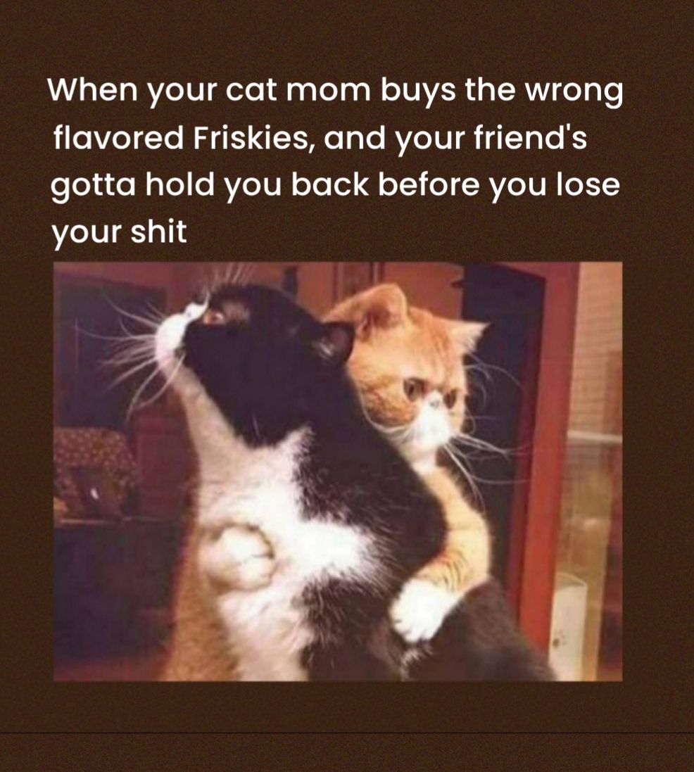 When your cat mom buys the wrong lelVZeYYe R ST IE M e o To AVeTUI ToTe K5 eeluoNalelle RVeIVN oTolel oT o RVeIV R o 11 your shit S