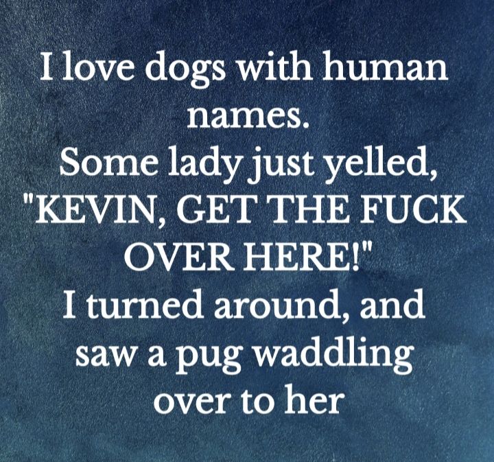 Ilove dogs with human names Some lady just yelled KEVIN GET THE FUCK OVER HERE I turned around and saw a pug waddling over to her