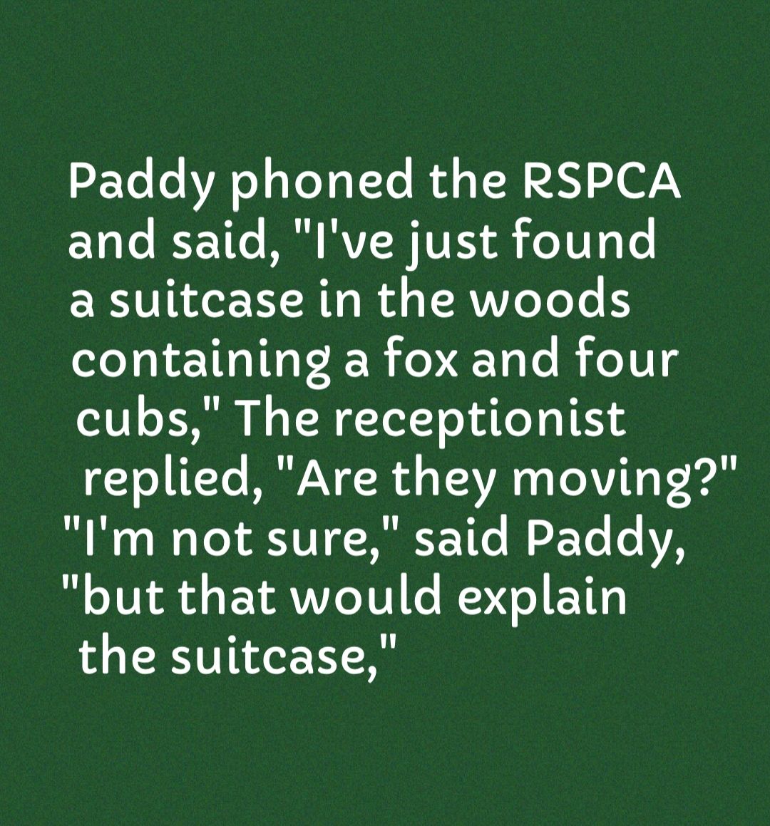 2ETe e VAe sToTgITe Bd o T H 3 200N 10 o K 10e MR VISR IVES o8 Fe1000 T a suitcase in the woods containing a fox and four cubs The receptionist replied Are they moving Im not sure said Paddy but that would explain the suitcase