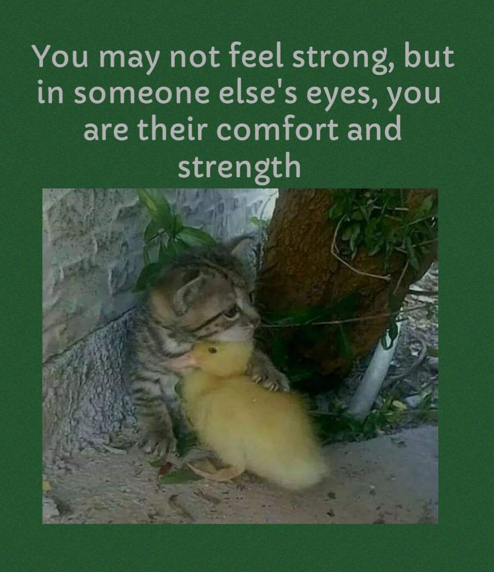 You may not feel strong but in someone elses eyes you are their comfort and strength qu R 4 1