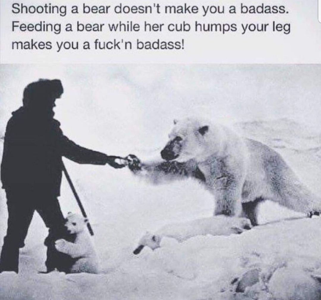 Shooting a bear doesnt make you a badass Feeding a bear while her cub humps your leg makes you a fuckn badass