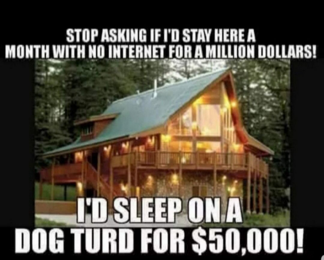 STOP ASKING IF ID STAY HERE A MONTHWITH NO INTERNET FOR A MILLION DOLLARS g Sk VDA r N LN DOG TURD FOR 50000