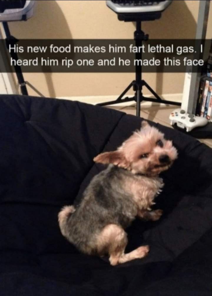 His new food makes him fart lethal gas NEETG I T Ny NeTa Rl N CR N ETO R G TER e