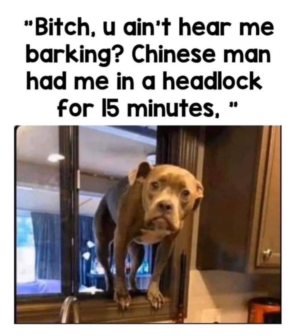 Bitch u aint hear me barking Chinese man had me in a headlock for IS minutes