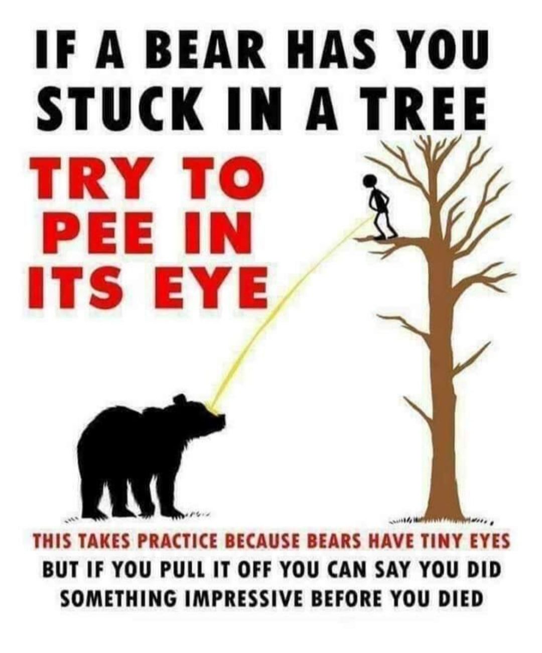 IF A BEAR HAS YOU STUCK IN A TREE TRY TO PEE IN ITS EYE Ill THI TAKES PRACTICE BECAUSE BEARS HAVE TINY ES BUT IF YOU PULL IT OFF YOU CAN SAY YOU DID SOMETHING IMPRESSIVE BEFORE YOU DIED