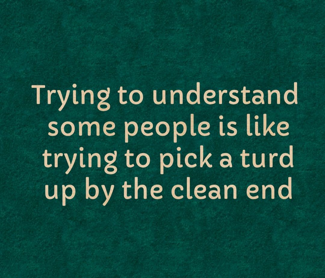 Trying to understand some people is like trying to pick a turd STl VA T Nel LY W Te