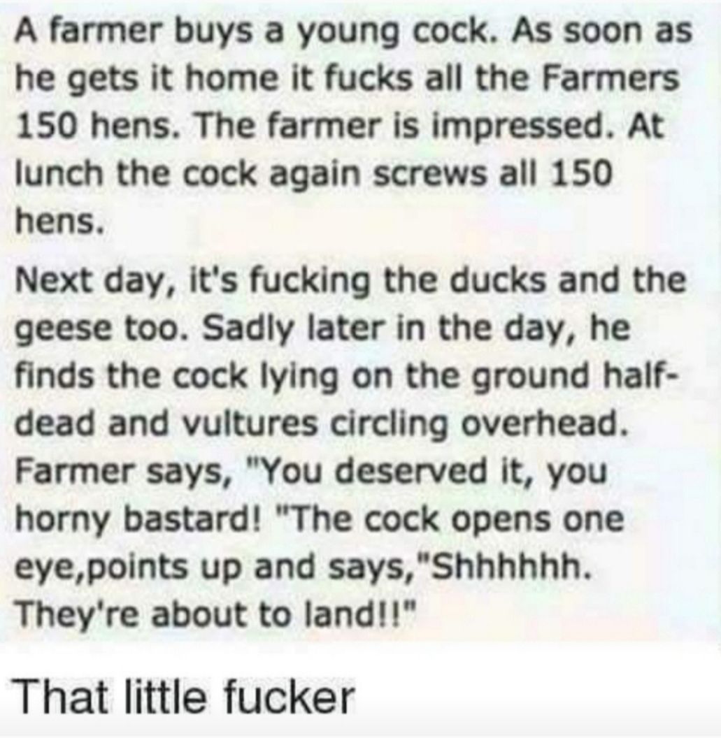 A farmer buys a young cock As soon as he gets it home it fucks all the Farmers 150 hens The farmer is impressed At lunch the cock again screws all 150 hens Next day its fucking the ducks and the geese too Sadly later in the day he finds the cock lying on the ground half dead and vultures circling overhead Farmer says You deserved it you horny bastard The cock opens one eyepoints up and saysShhhhhh