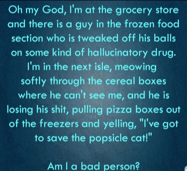 Oh my God Im at the grocery store and there is a guy in the frozen food section who is tweaked off his balls on some kind of hallucinatory drug Im in the next isle meowing softly through thq cereal boxes where he cant see me and he is losing his shit pulling pizza boxes out of the freezers and yelling Ive got to save the popsicle cat Am a bad person2