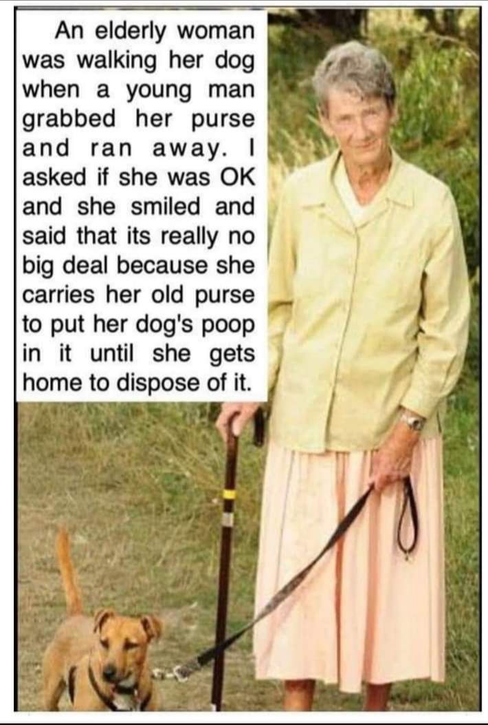 An elderly woman was walking her dog when a young man grabbed her purse and ran away asked if she was OK and she smiled and said that its really no big deal because she carries her old purse o5 to put her dogs poop in it until she gets home to dispose of it