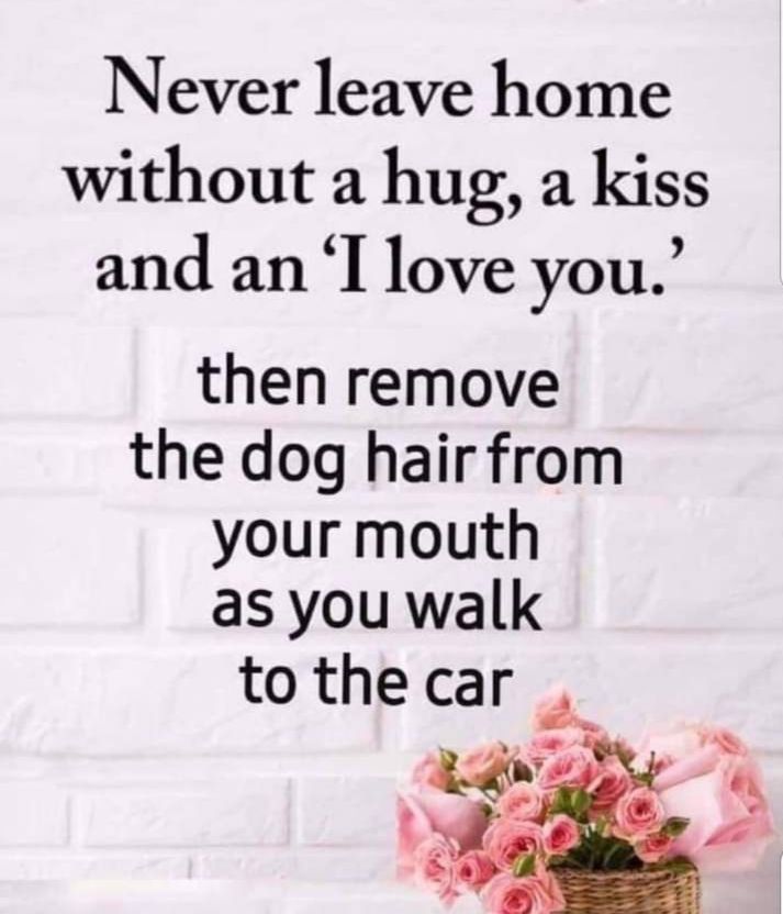 Never leave home without a hug a kiss and an Tlove you then remove the dog hair from your mouth as you walk tothecar