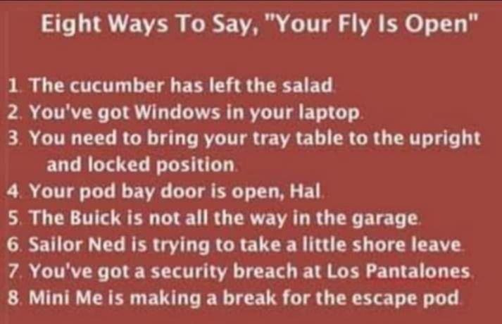 Eight Ways To Say Your Fly Is Open 1 The cucumber has left the salad 2 Youve got Windows in your laptop 3 You need to bring your tray table to the upright and locked position 4 Your pod bay door is open Hal 5 The Buick is not all the way in the garage 6 Sailor Ned is trying to take a little shore leave 7 Youve got a security breach at Los Pantalones 8 Mini Me is making a break for the escape pod