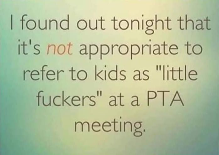 found out tonight thatg its not appropriate to refer to kids as little fuckers at a PTA