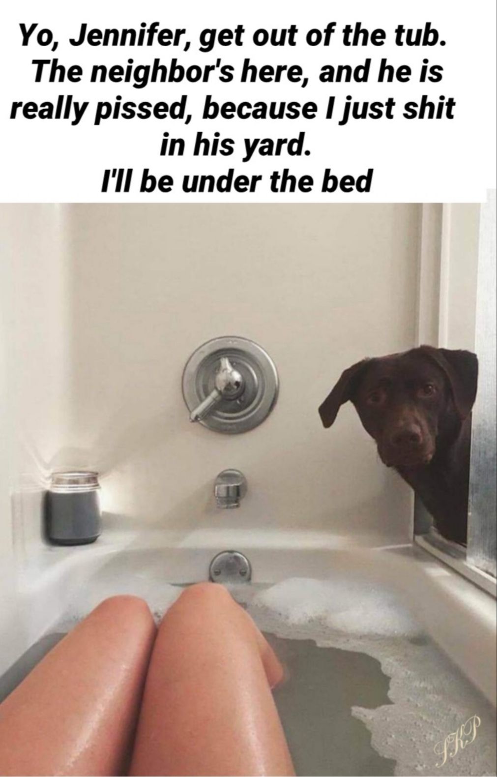 Yo Jennifer get out of the tub The neighbors here and he is really pissed because I just shit in his yard Ill be under the bed