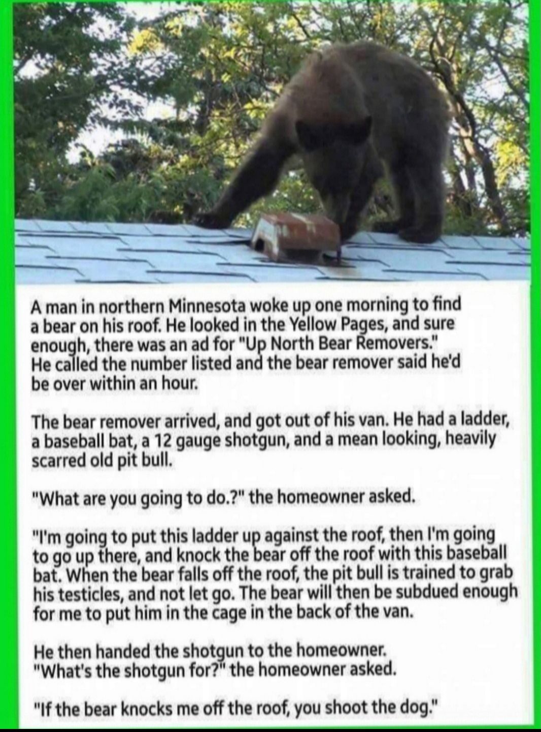 A man in northern Minnesota woke up one morning to find a bear on his roof He looked in the Yellow Pages and sure enough there was an ad for Up North Bear Removers He called the number listed and the bear remover said hed be over within an hour The bear remover arrived and got out of his van He had a ladder a baseball bat a 12 gauge shotgun and a mean looking heavily scarred old pit bull What are 