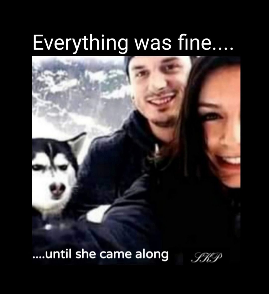 Everything was fine until she came along o