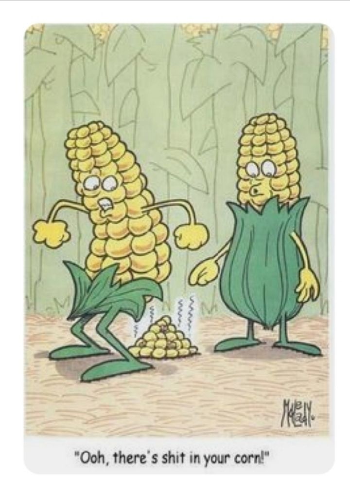 e Ooh theres shit in your corn