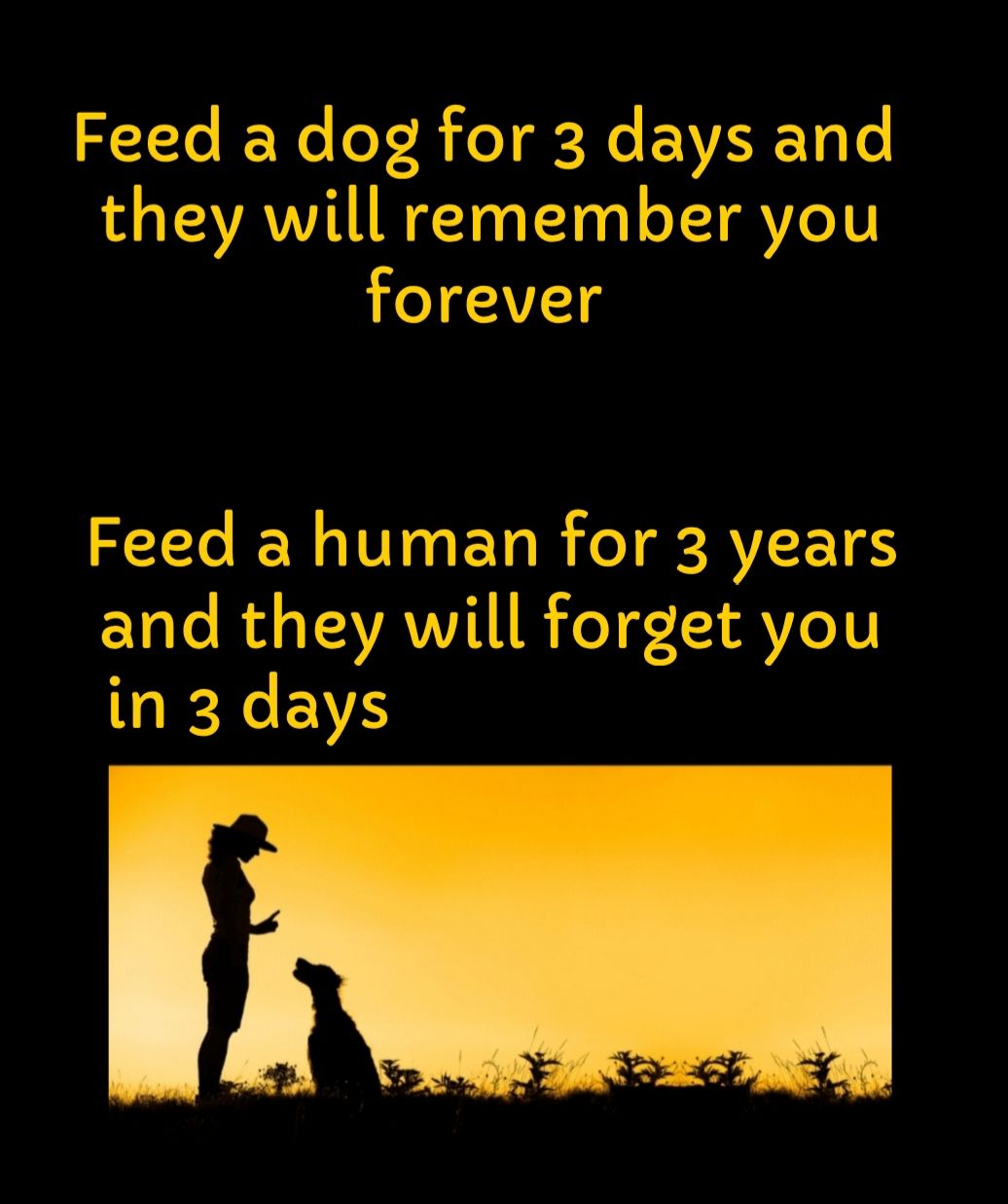 Feed a dog for 3 days and R TEVAVVIN AN 10 0 T1 00 o TTVZeYY forever Feed a human for 3 years 1 o R LAVAVVITLR TeTg TI Vo N in 3 days