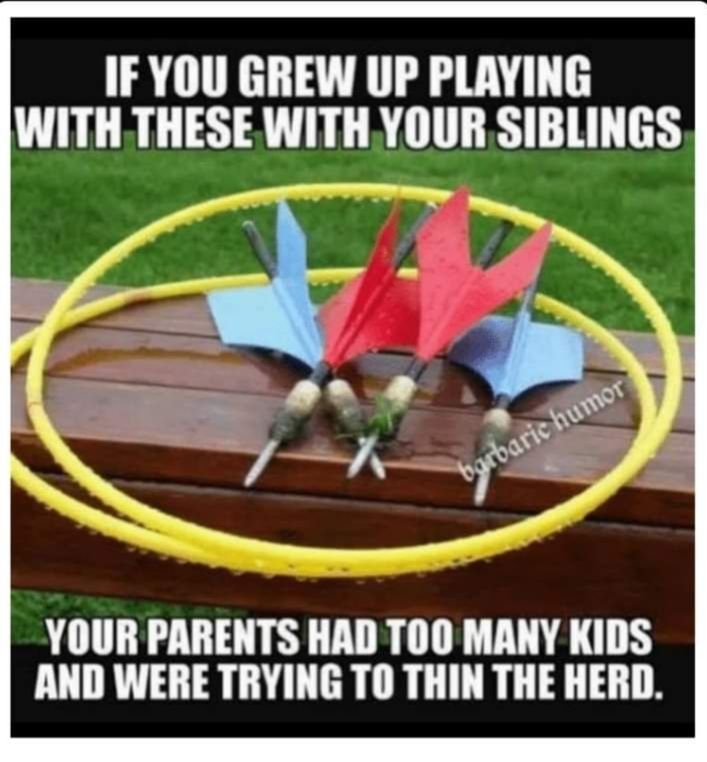 IFYOU GREW UP PLAYING WITH THESE WITH YOUR SIBLINGS R YOUR PARENTS HAD TOO MANY KIDS AND WERE TRYING TO THIN THE HERD