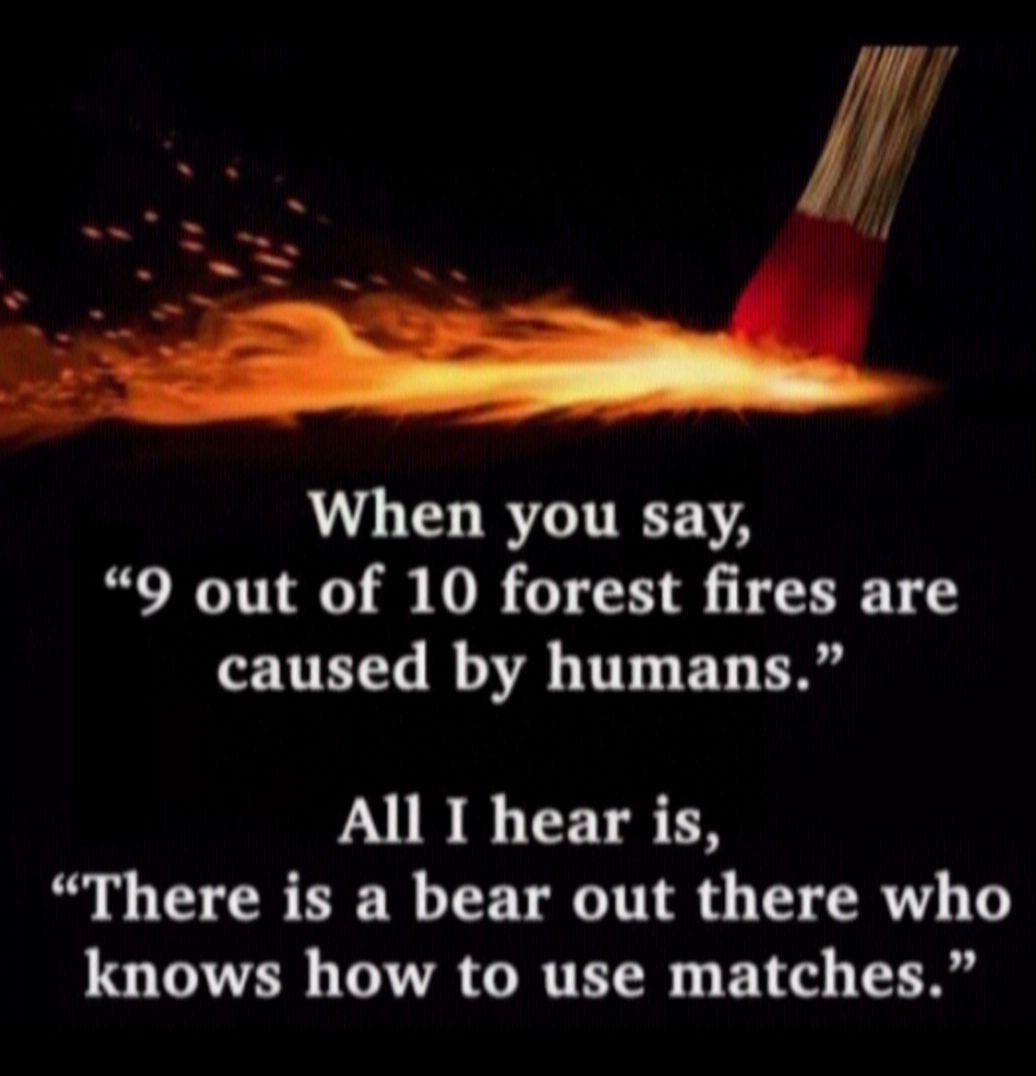 LG RTGITEEFELA 9 out of 10 forest fires are caused by humans LUB RGNS TN There is a bear out there who knows how to use matches