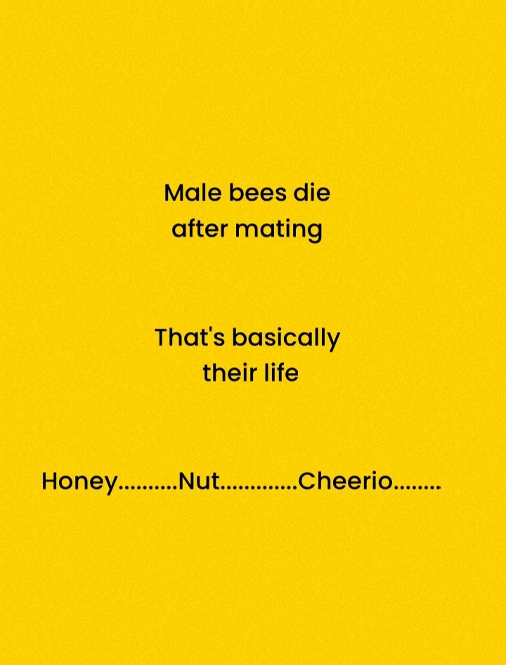 Male bees die after mating Thats basically their life HoneyNutCheerio