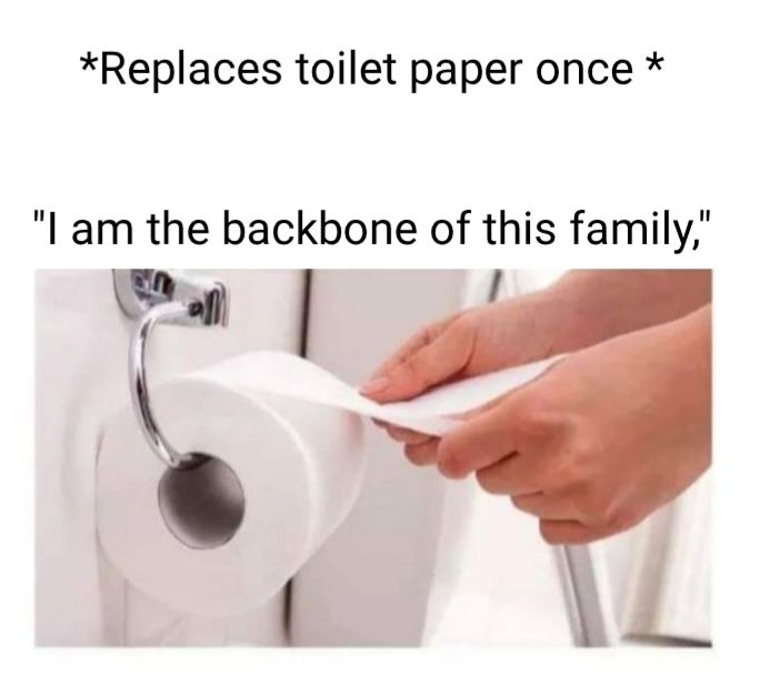 Replaces toilet paper once am the backbone of this family Efa