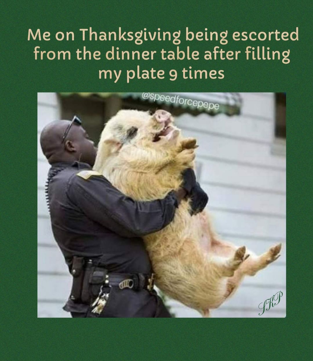 Me on Thanksgiving being escorted from the dinner table after filling my plate 9 times