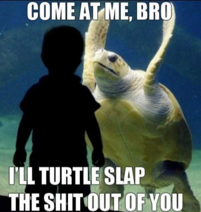 JLL TURTLESLAP iil snmfurrvu