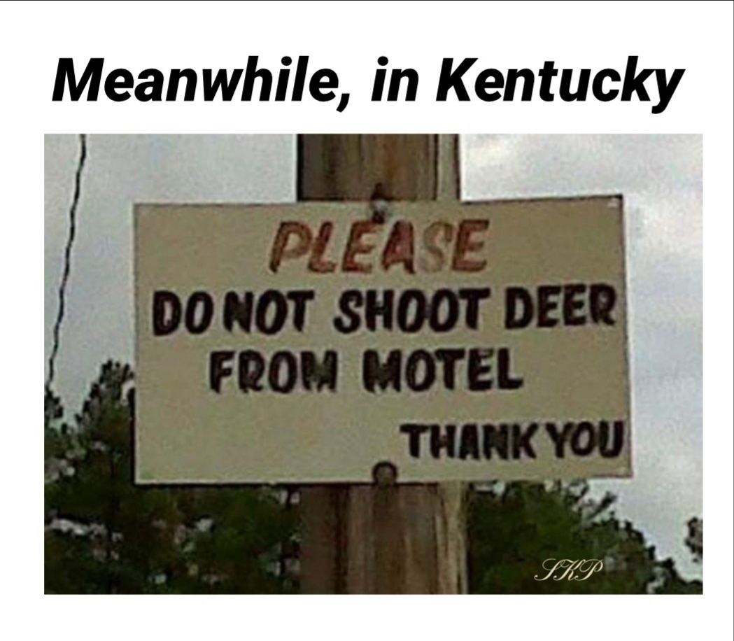 Meanwhile in Kentucky