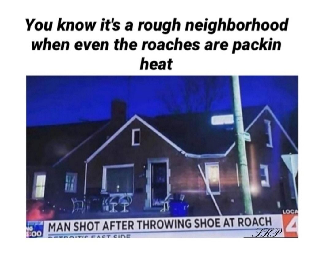 You know its a rough neighborhood when even the roaches are packin heat 0 MAN SHOT AFTER THROWING SHOE AT ROACH