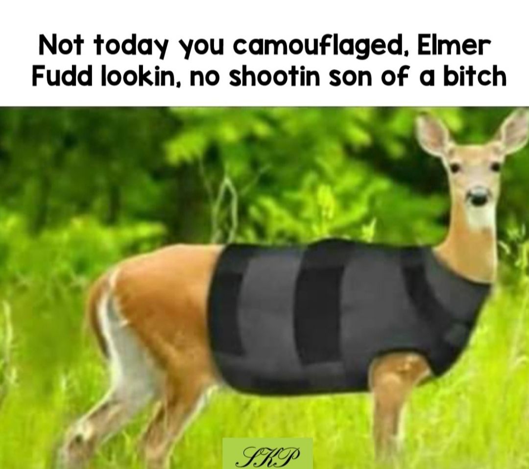 Not today you camouflaged Eimer Fudd lookin no shootin son of a bitch