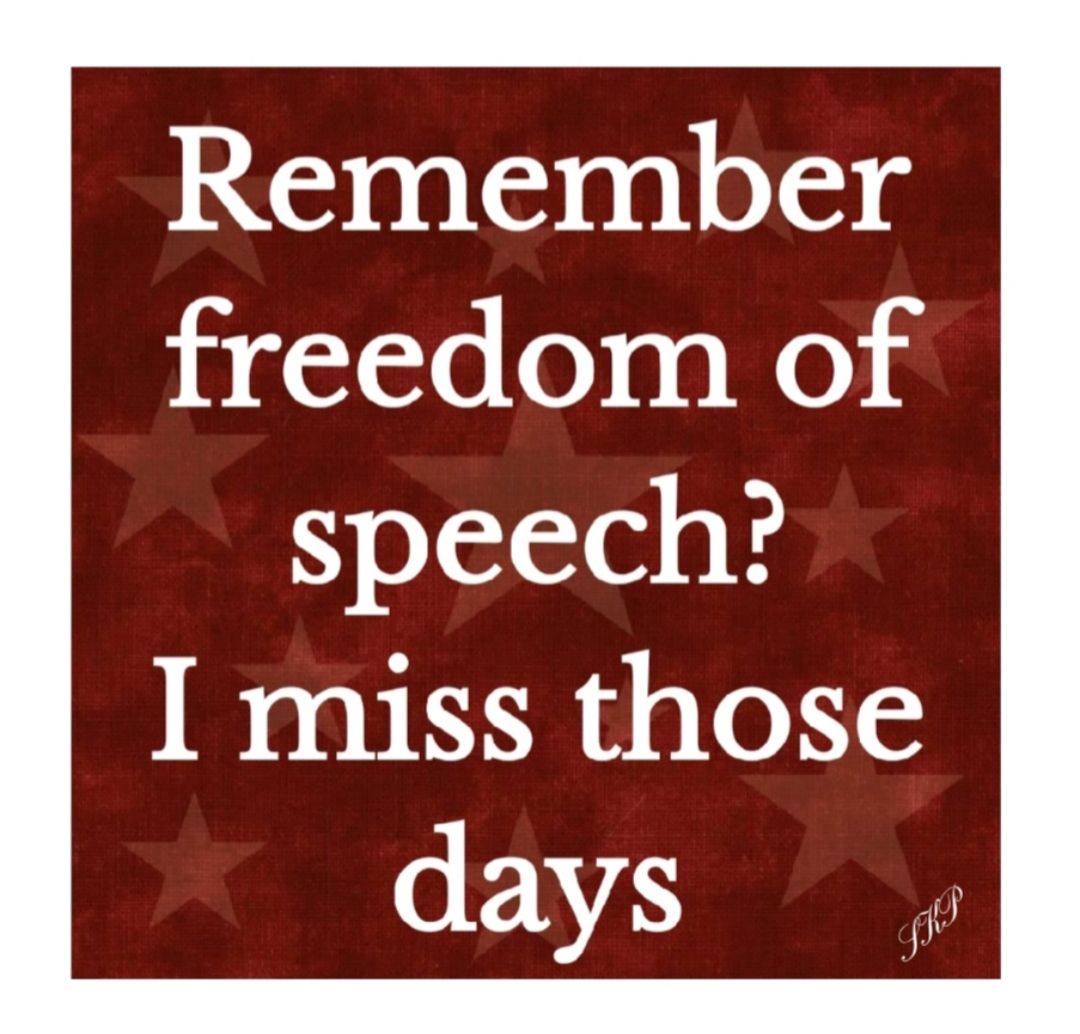 1 20001510010151 8 freedom of speech I miss those days