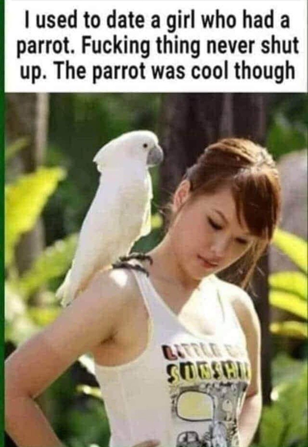 used to date a girl who had a parrot Fucking thing never shut up The parrot was cool though