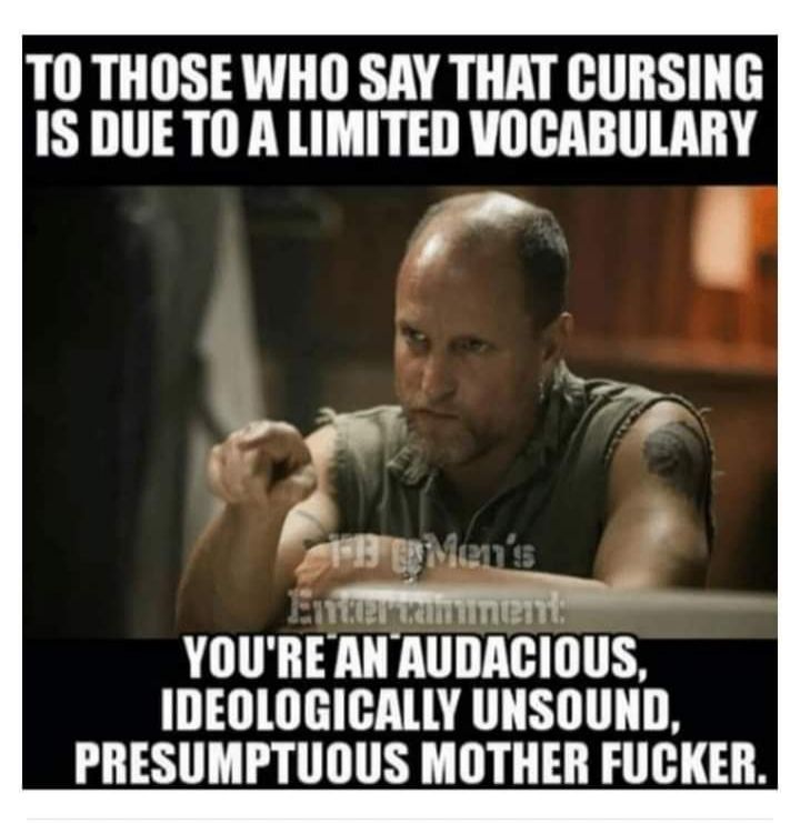 TO THOSE WHO SAY THAT CURSING IS DUE TO A LIMITED VOCABULARY B _ VL3 UD T HOTTE IDEOLOGICALLY UNSOUND PRESUMPTUOUS MOTHER FUCKER