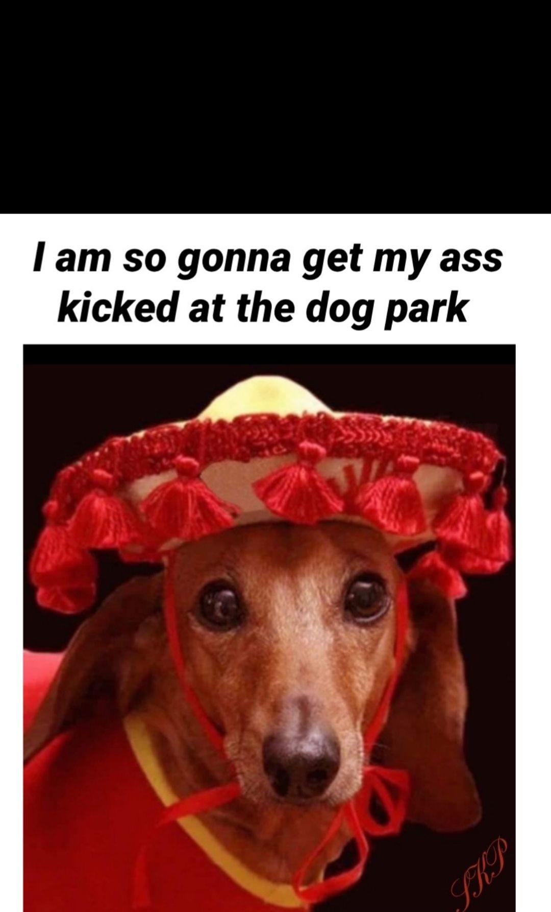 I am so gonna get my ass kicked at the dog park