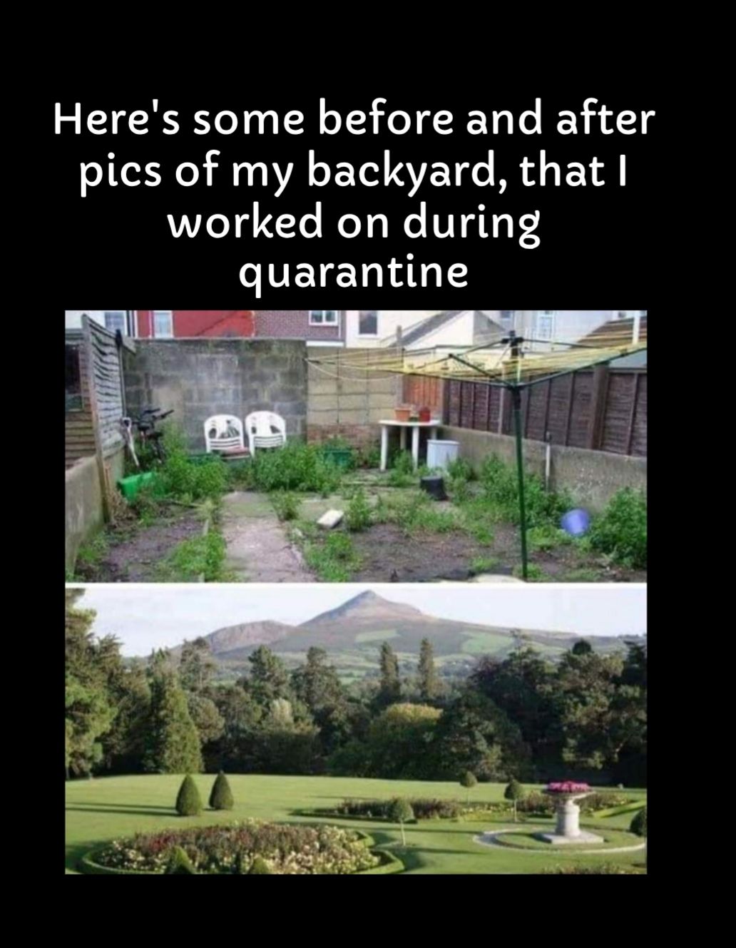 Heres some before and after pics of my backyard that worked on during quarantine