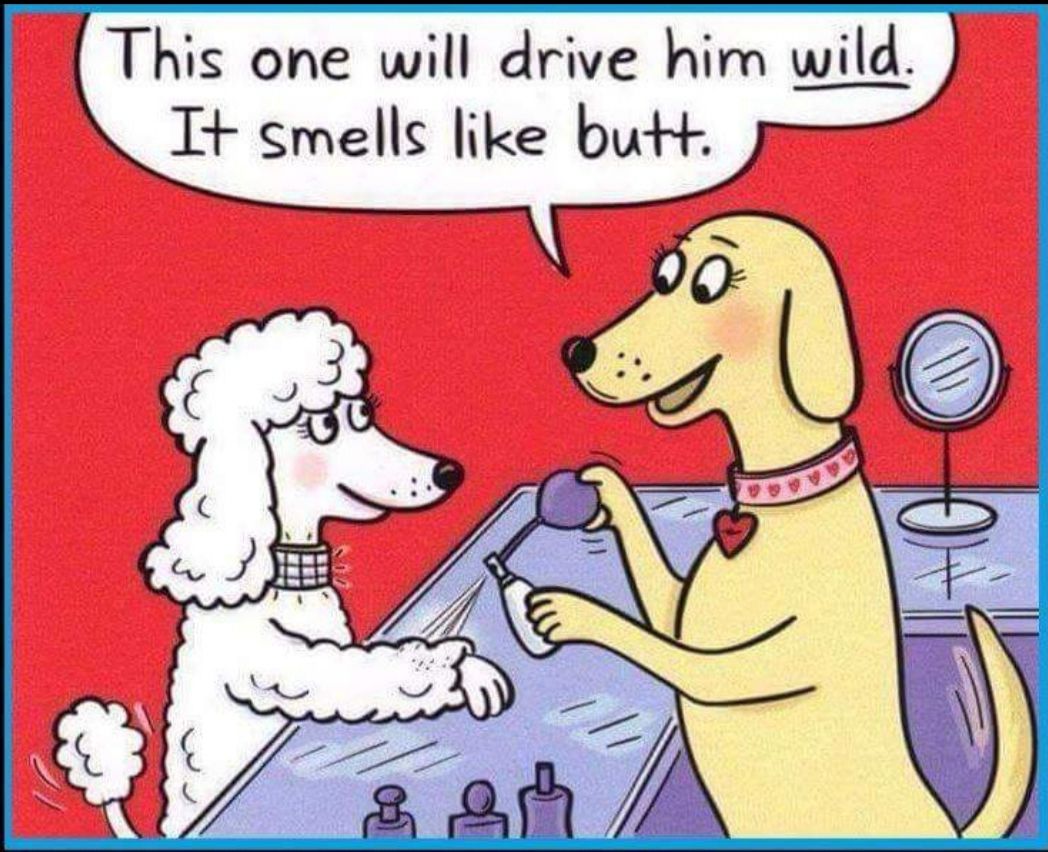 This one will drive him w I smells like butt