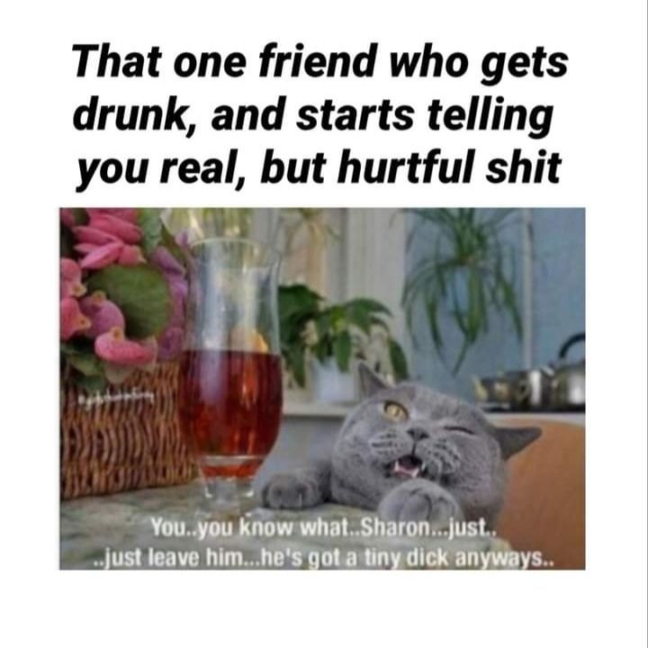 That one friend who gets drunk and starts telling you real but hurtful shit Youyou know whatSharon just just leave himhes gotatiny dick anyways