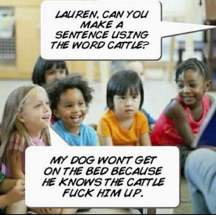 LAUREN CAN YOU MAKE A SENTENCE USING THE WORD CATTLE MY DOG WONT GET ON THE BED BECAUSE HE KNOWS THE CATTLE FUCK HIM UP