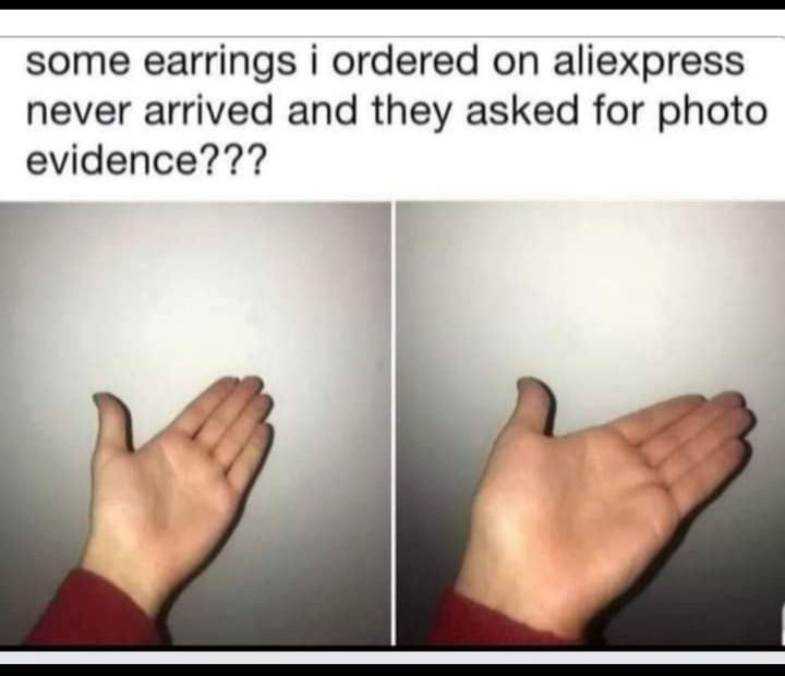 some earrings i ordered on aliexpress never arrived and they asked for photo evidence F i