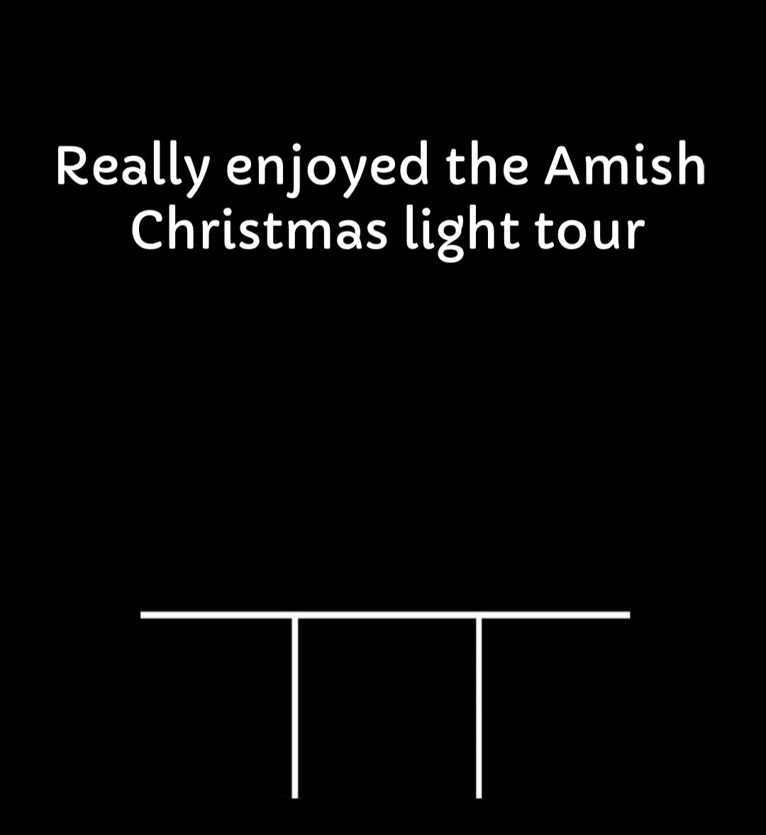 Really enjoyed the Amish Christmas light tour BEE