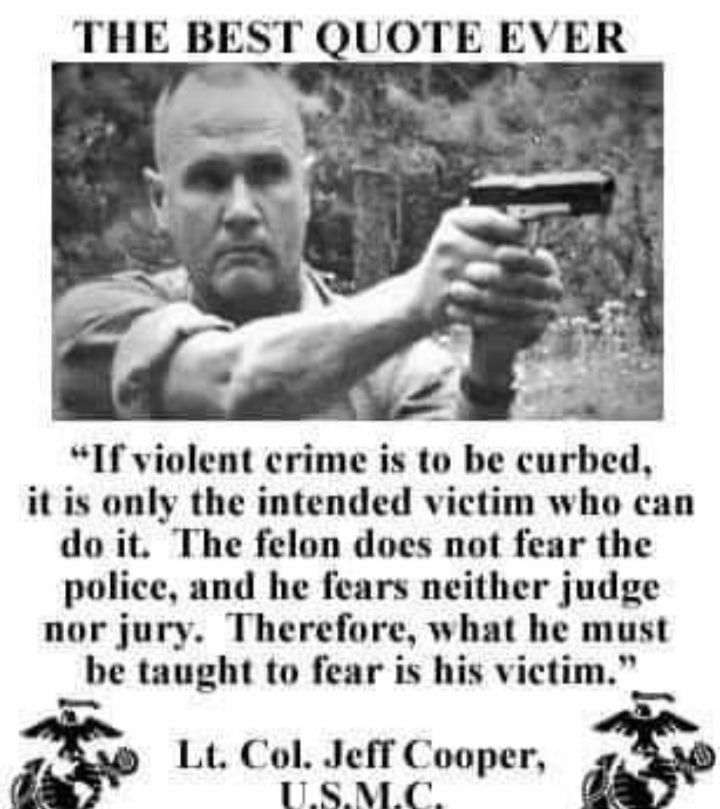 THE BEST QUOTE EVER If violent crime is to be curbed it is only the intended victim who can do it The felon does not fear the police and he fears neither judge nor jury Therefore what he must be taught to fear is his victim Lt Col Jeff Cooper 1ISMC