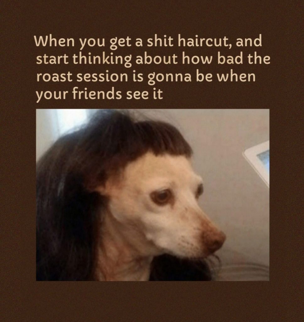 When you get a shit haircut and start thinking about how bad the o EH Y WER To s VA EW TRVV 1 your friends see it