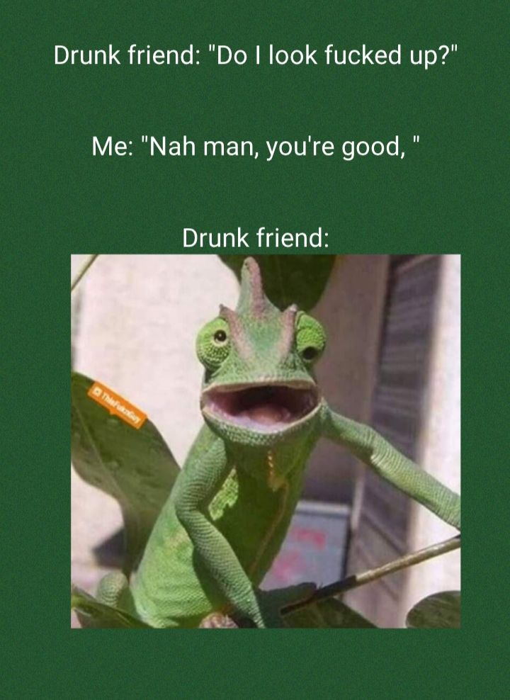 Drunk friend Do look fucked up Me Nah man youre good Drunk friend