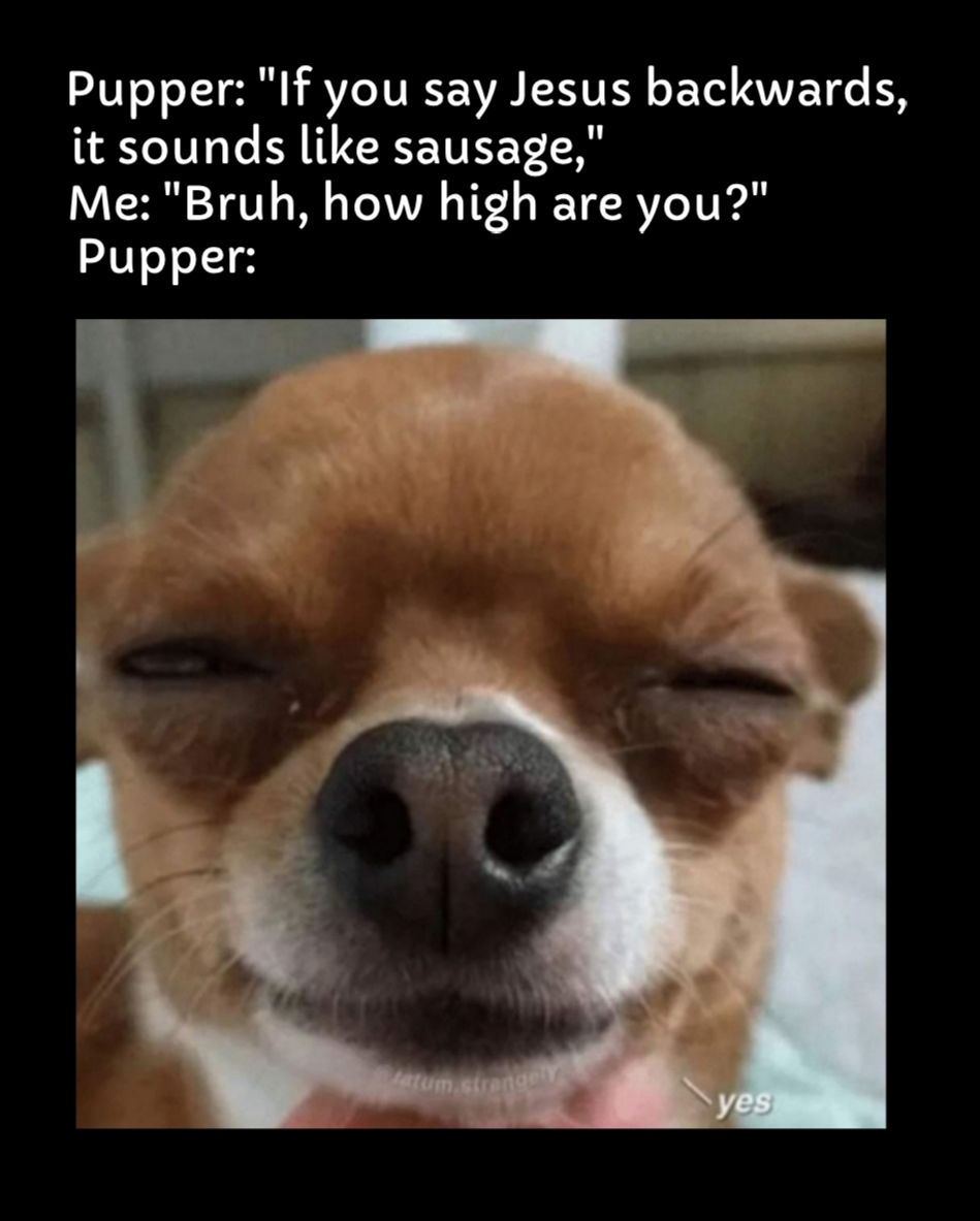 Pupper If you say Jesus backwards it sounds like sausage Me Bruh how high are you Pupper