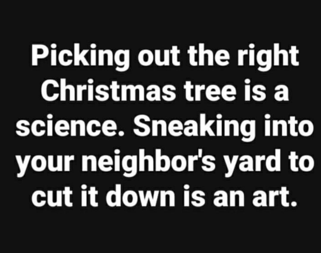 Picking out the right Christmas treeis a science Sneaking into your neighbors yard to cut it down is an art