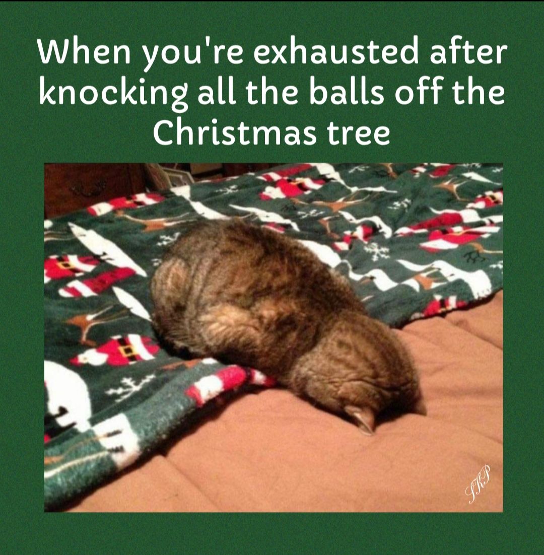 When youre exhausted after knocking all the balls off the Christmas tree P AW o