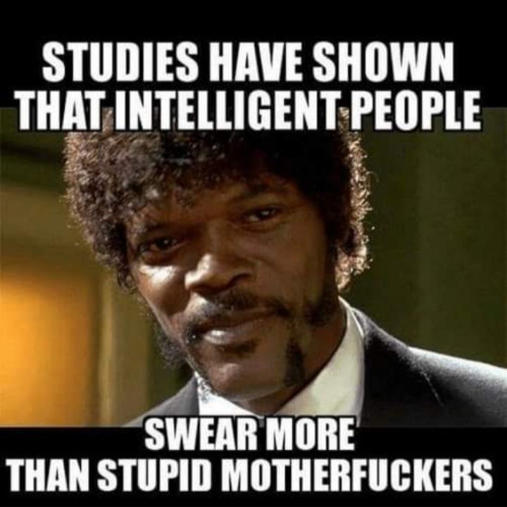 STUDIES HAVE SHOWN THM IHTEllIGEHT PEIPlE monz THAN STUPID MOTHERFUCKERS