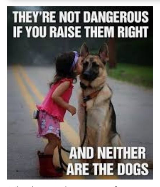 THEYRE NOT DANGEROUS IF YOU RAISE THEM RIGHT AND NEITHER ARE THE DOGS